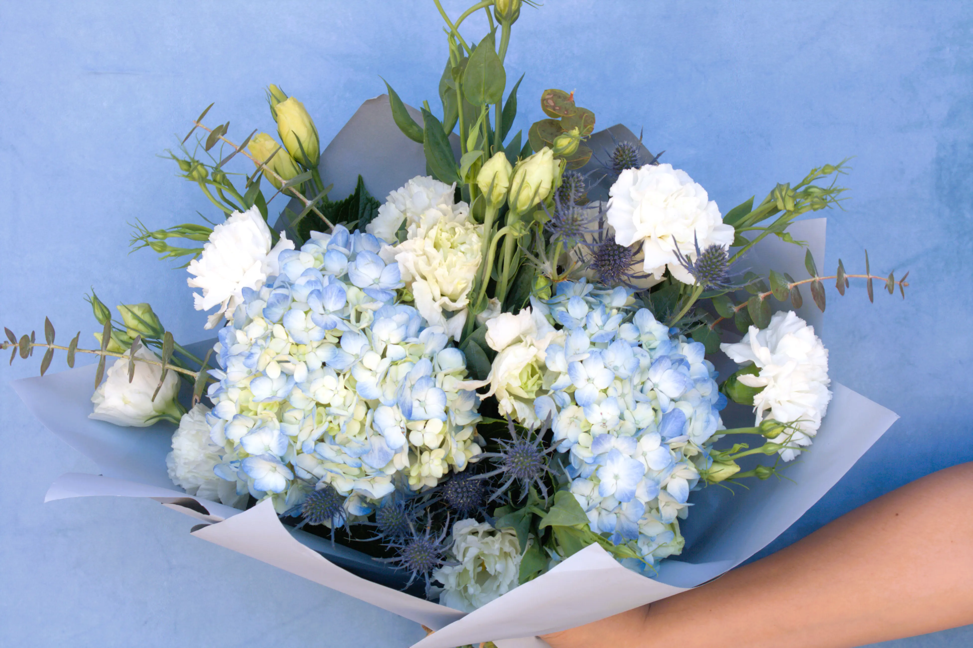 Hortensias lisianthus celestes alt